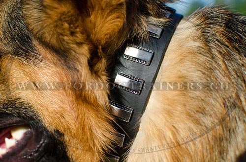 Handgemachtes Leder Hundehalsband fr Schferhund,
Lederhalsband mit Platten