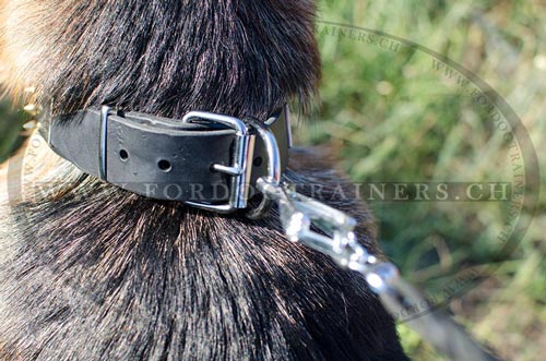 Neues Leder Hundehalsband mit platten und Spikes fr
Deutschen Schferhund bestellen