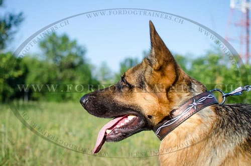 Handbemaltes Leder Hundehalsband fr
Schferhund kaufen