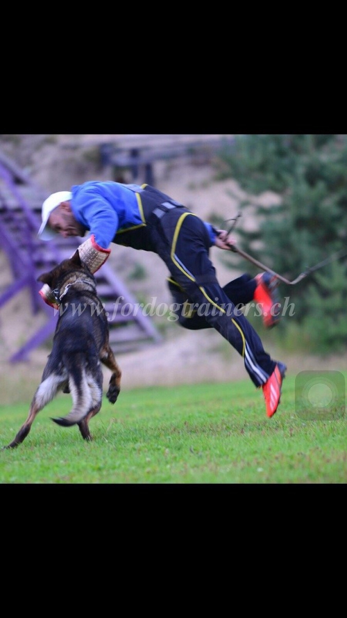 IGP Hundesport Schrze training schweiz