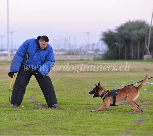 schutzanzug RCI sport training schweiz