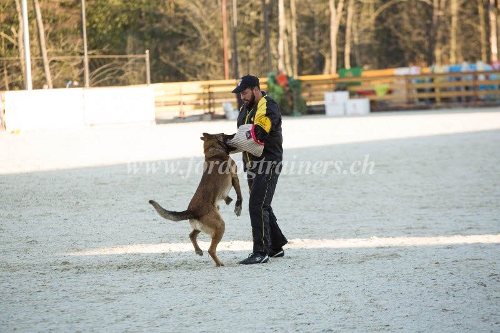 beiarm IGP hundesport schweiz