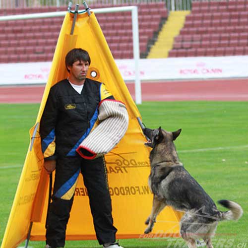 hunde Schutzdienstversteck training schweiz