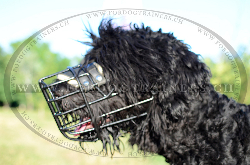 gummierter Hundemaulkorb, schwarzer
terrier Maulkrbe 