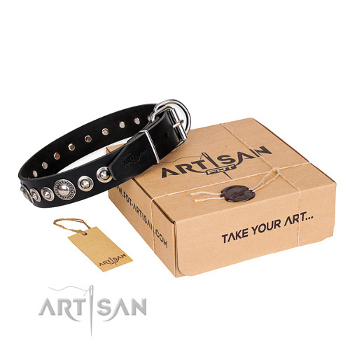 Hundehalsband schwarz mit verzierung artisan
