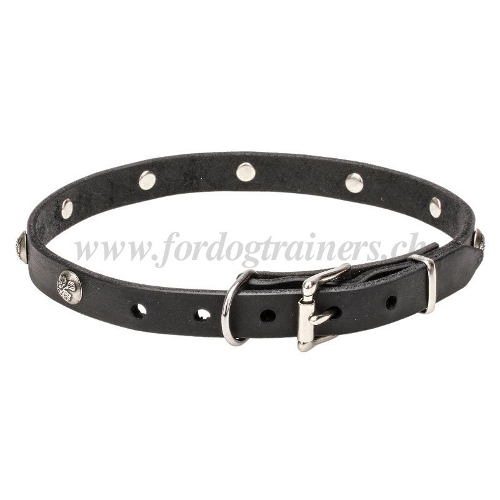 Nietenhalsband leder handgemacht