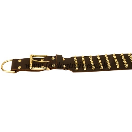 Hundehalsband fr Deutschen Schferhund aus Leder mit
Spikes