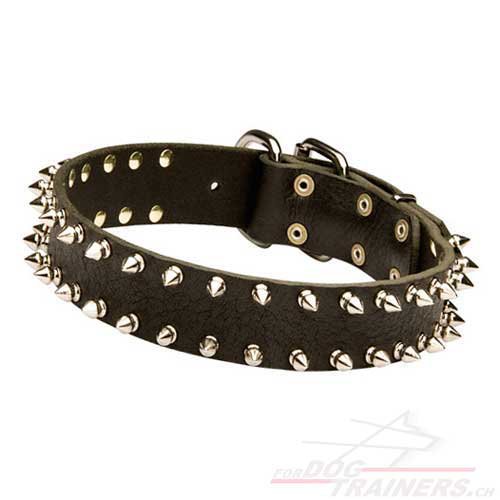lederhalsband hund nach ma schweiz