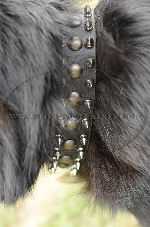 Herrliches Lederhalsband fr Deutschen Schferhund
bestellen
