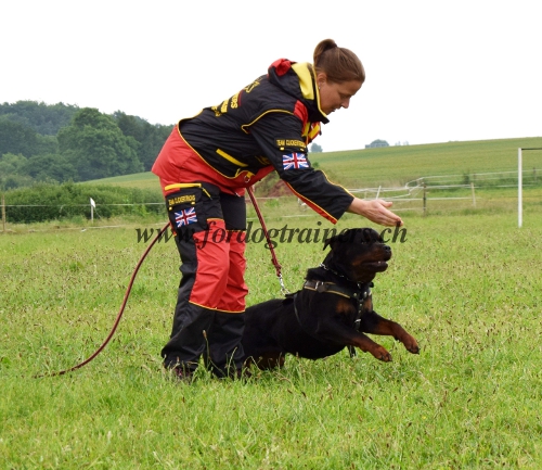 Anzug
mit logo hunde club