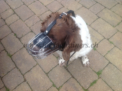 Wire Basket Dog Muzzle springer spaniel
Switzerland 