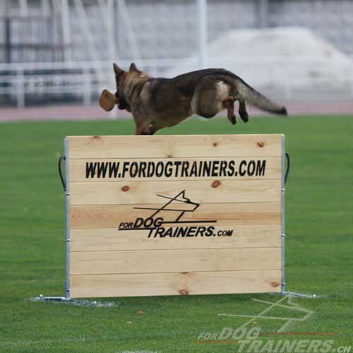 Sprunghrde holz training schweiz