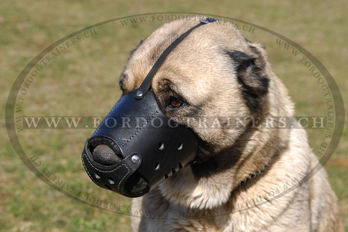 maulkorb fr angstbeisser, maulkorb kaukasischer schaeferhund
