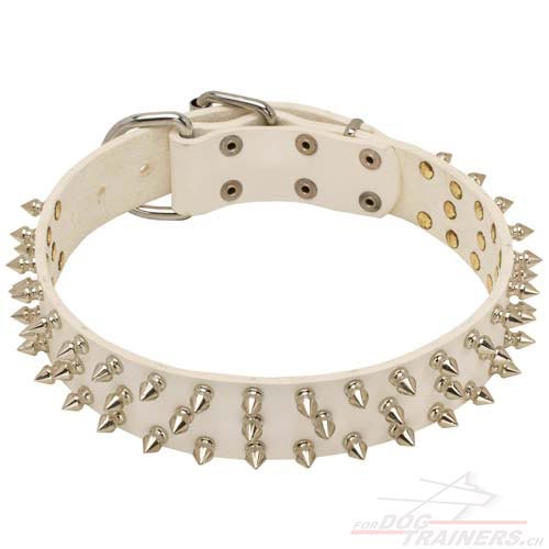 leder Hunde halsband wei spikes
Luxemburg