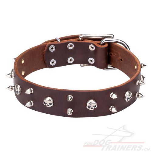 design lederhalsband totenkopf schweiz