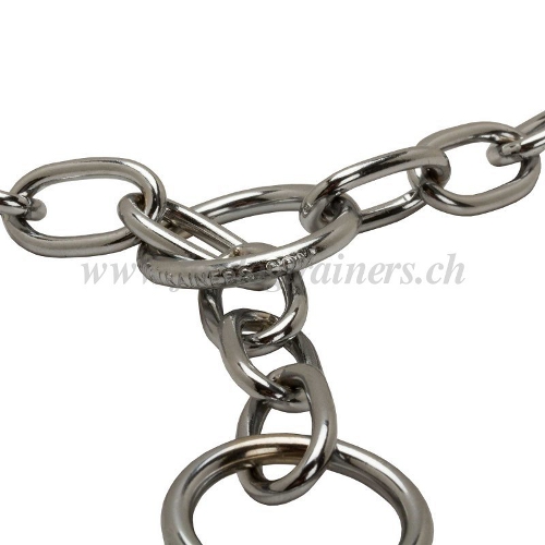 zughalsband fordogtrainers online hundeshop schweiz