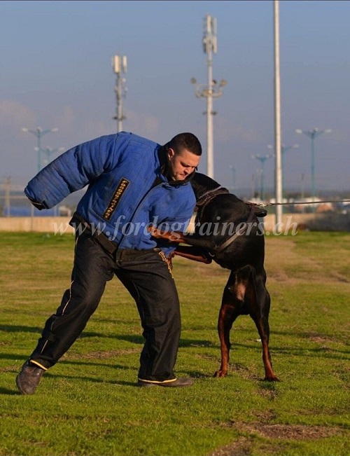 vollschutzanzug Hundesport st. gallen kaufen