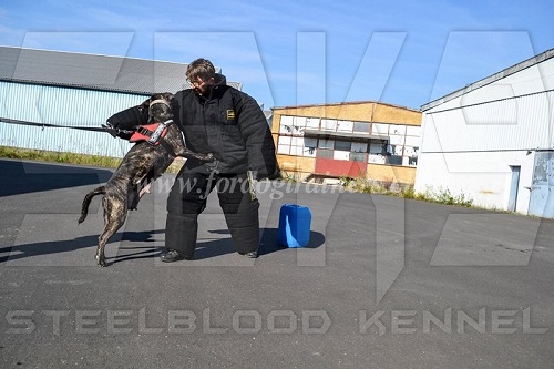 schutzanzug Steelblood Kennel training schweiz