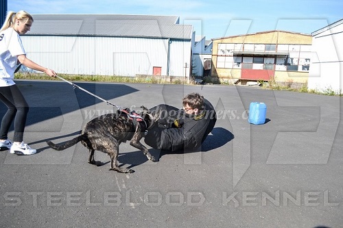 vollschutzanzug professionelles training schweiz