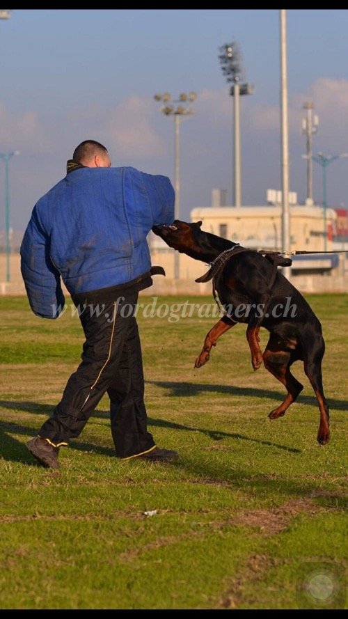 schutzanzug Polizei Hundetraining schweiz
