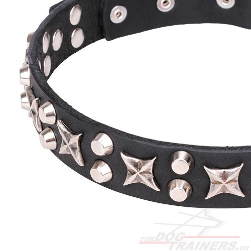 hundehalsband leder fordogtrainers
handgemacht mit Sternen und kegeln
