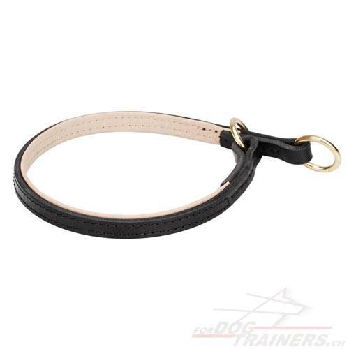 halsband leder bern