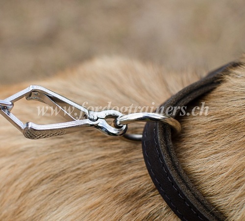 halsband aus leder Tervueren bern