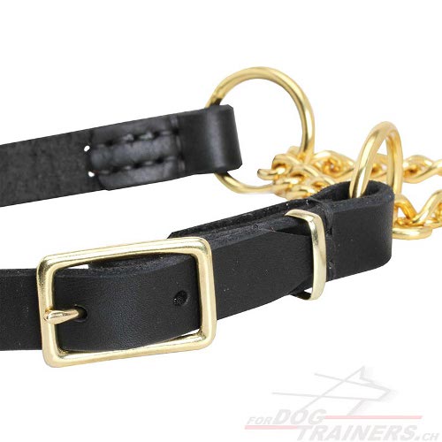 zughalsband martingale