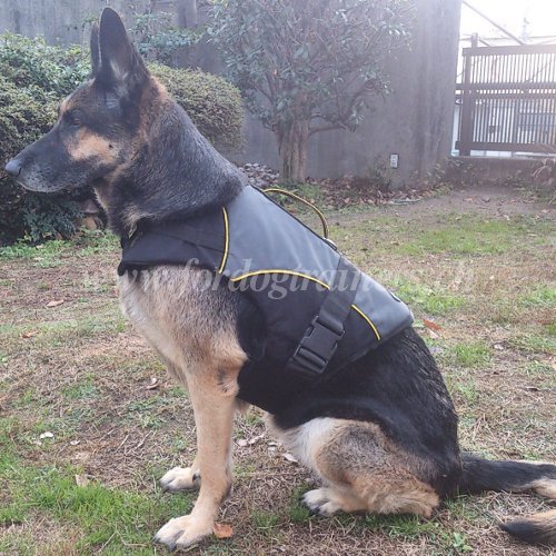 Hundegeschirr Warm fuer Deutschen Schaeferhund - zum Schließen ins Bild klicken