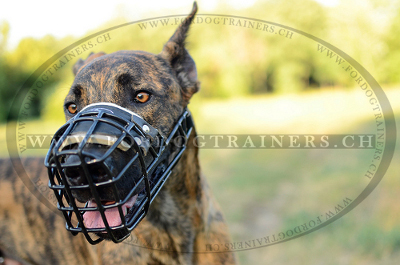 M10 Maulkorb fr Deutsche Dogg