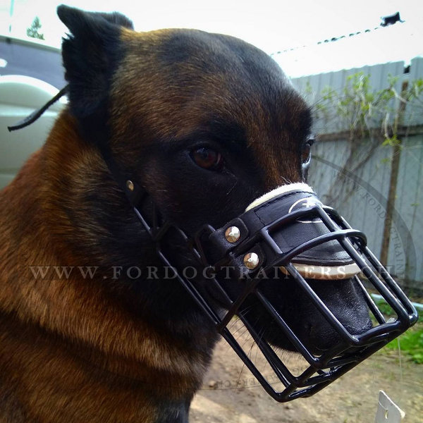 Hochwertiger Maulkorb fr Malinois mit Gummideckung - zum Schließen ins Bild klicken