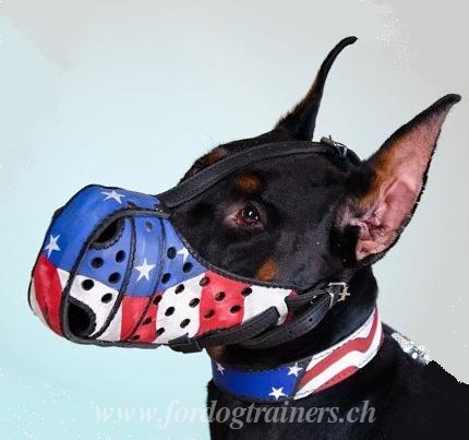 Lederhalsband mit Super Muster für Dobermann C77
