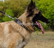 Hundehalsband mit Stahlpyramiden für Tervueren