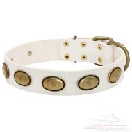 Collier pour chien en cuir blanc C103W